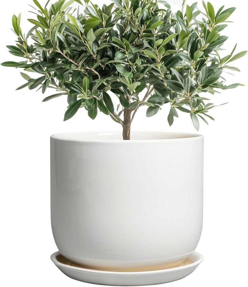 SUNPOTFOR Store Ceramic Plant Pot - Modern 8 Inch Round Planter for Indoor Outdoor Plants with Drainage Hole and Saucer, Home House Room Office Decor, White - Image 1